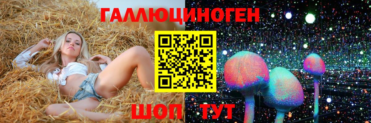 Псилоцибиновые грибы Psilocybe  цены   Псилоцибиновые грибы GOLDEN TEACHER  Нефтекамск  Вход с VPN 