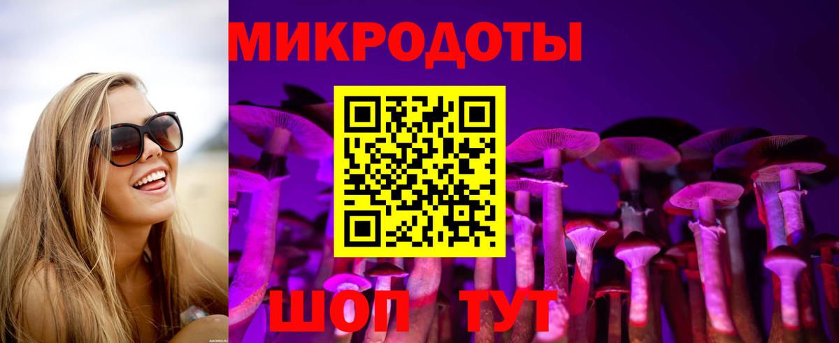 Псилоцибиновые грибы Cubensis Нефтекамск